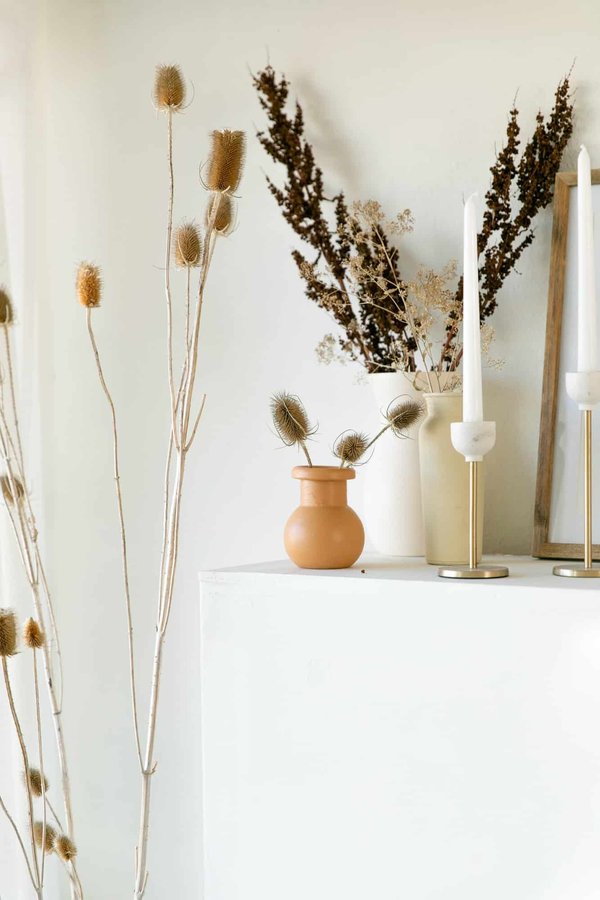 Les Tendances Déco de la Saison : Inspirations pour Rafraîchir Votre Espace