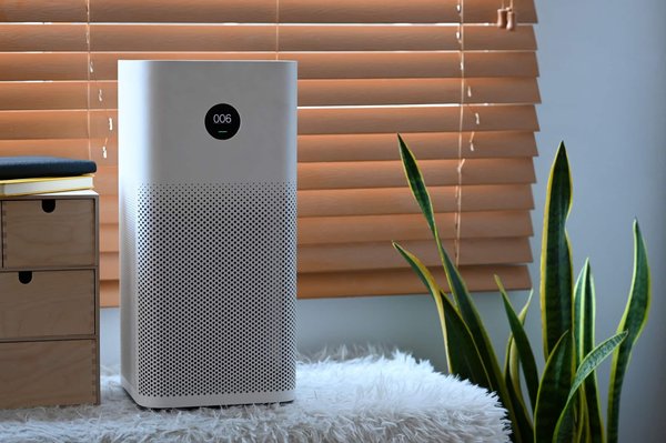 A quelle période de l'année est-il crucial de purifier l'air ?